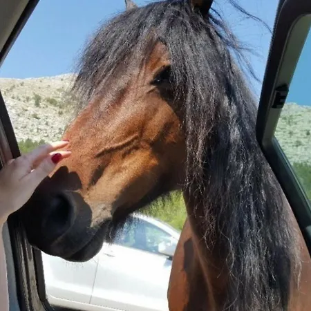 Navis Sea View With Pool Apartamento Makarska